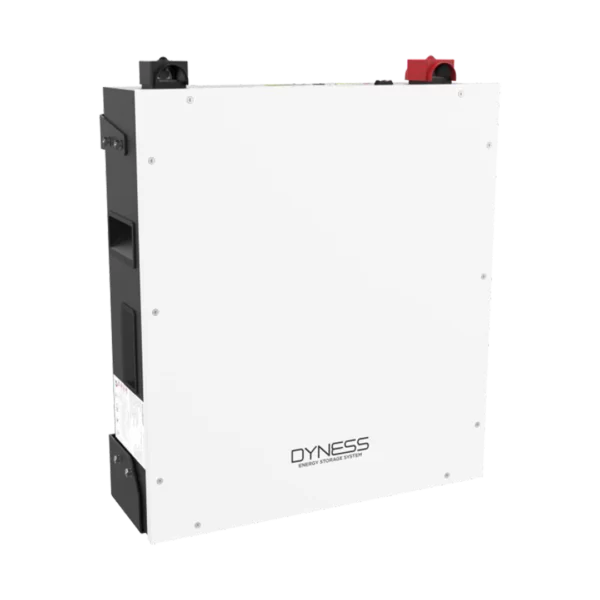 Dyness lithium battery 4.8kWh 48 Volt 100AH